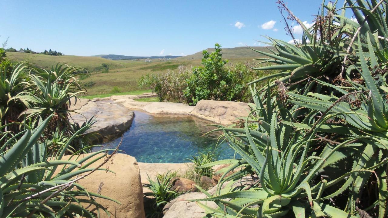 Wits End Mountain Resort Champagne Valley Екстериор снимка